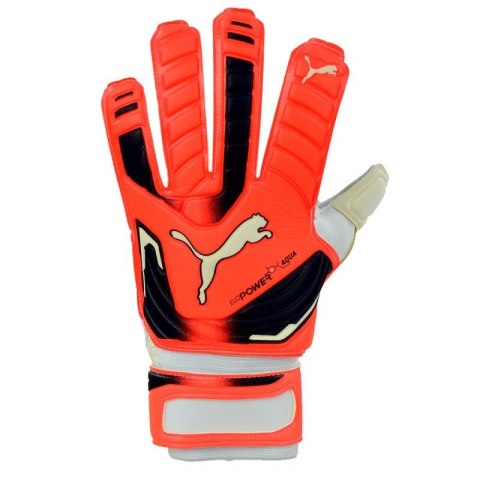 Rękawice bramkarskie Puma Evo Power Grip 2 Aqua 41145 30 10